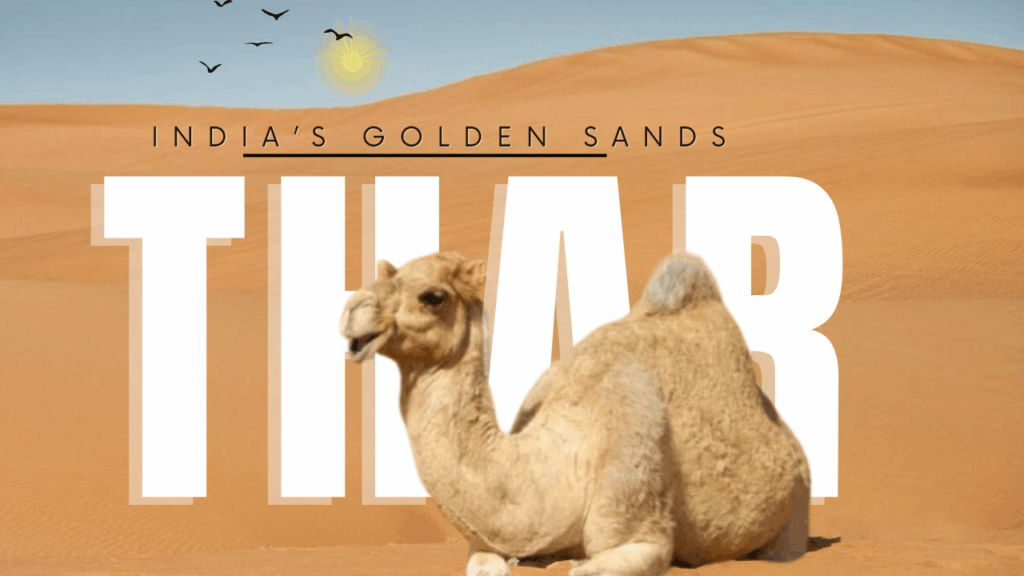 CREAT GRAPHIC DESIGN